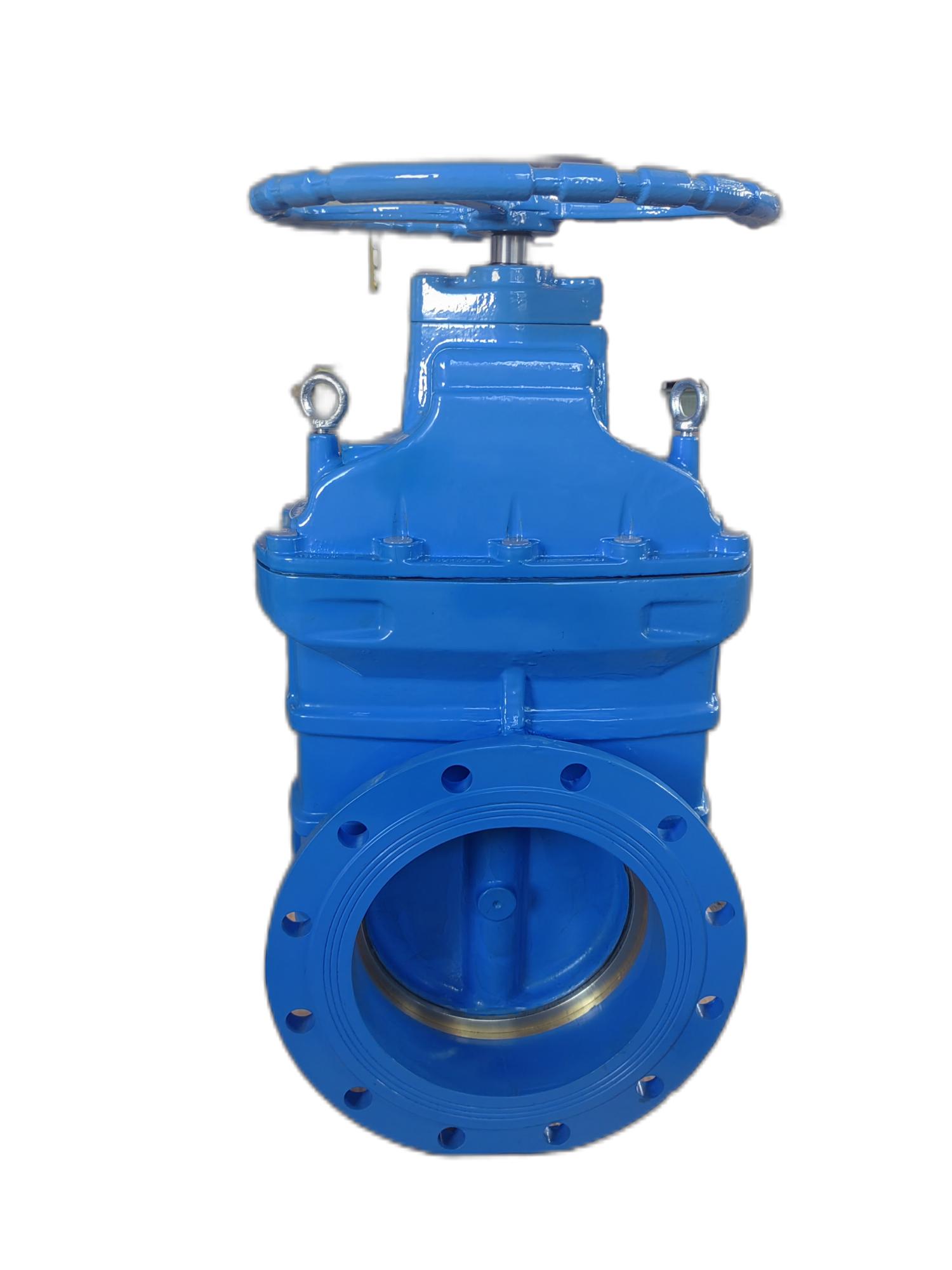 Metal Seated NRS Gate Valve from China manufacturer - DVK International ...